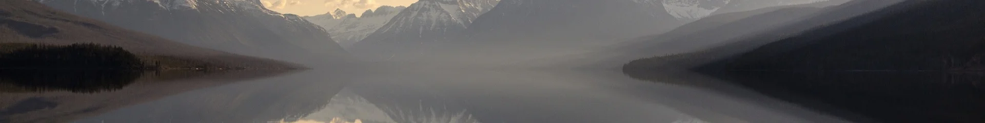 Addon Starter Image 7