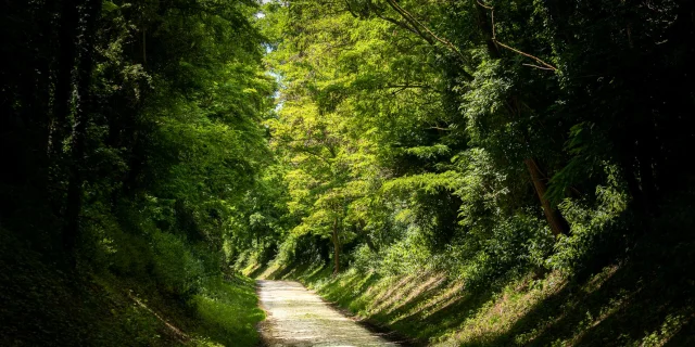 Aulnoy Lez Valenciennes Otcvmclaude.waeghemacker