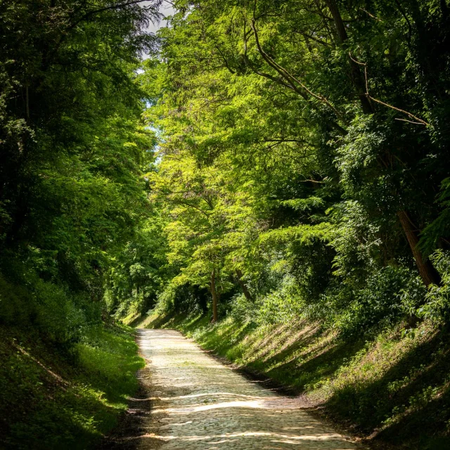 Aulnoy Lez Valenciennes Otcvmclaude.waeghemacker