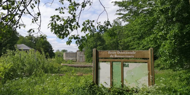 Conde_Foret_Bonsecours_France @dboukla