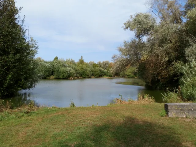 Sumpfgebiet Val de Vergne