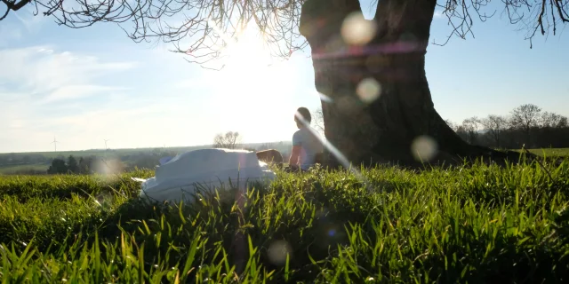 Lecaillon Paysage Dboukla