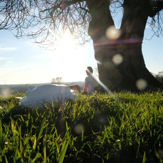 Lecaillon Paysage Dboukla