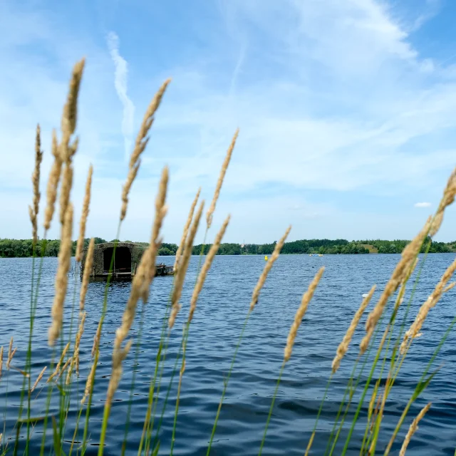 Étang de Chabaud-Latour -Site Ramsar