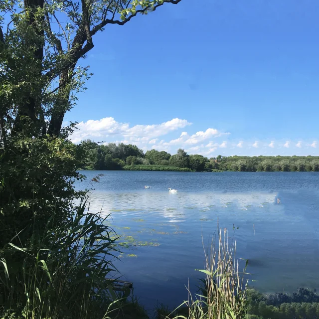 Ponton vue plongeante vignoble valenciennes