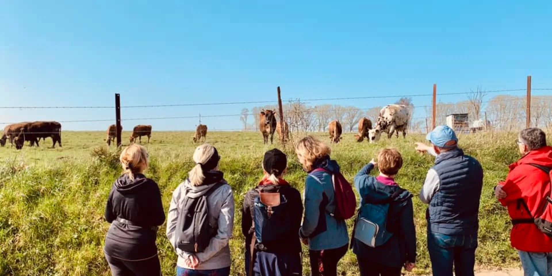 Artres Oh La Vache Dboukla