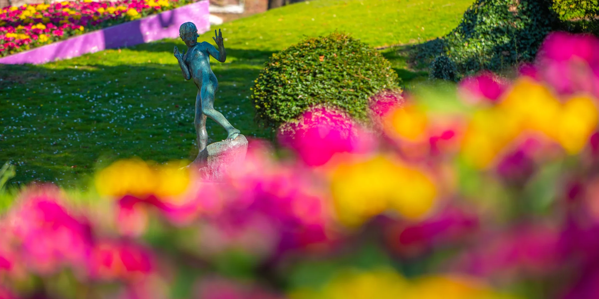 La faunesse dans le parc de la Rhônelle de Valenciennes