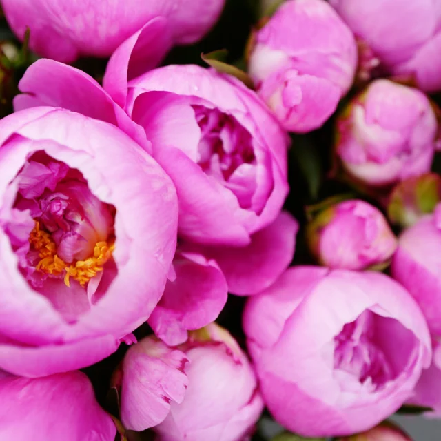 Valenciennes Place Verte Marche De Valenciennes Bd 6manon Ledet