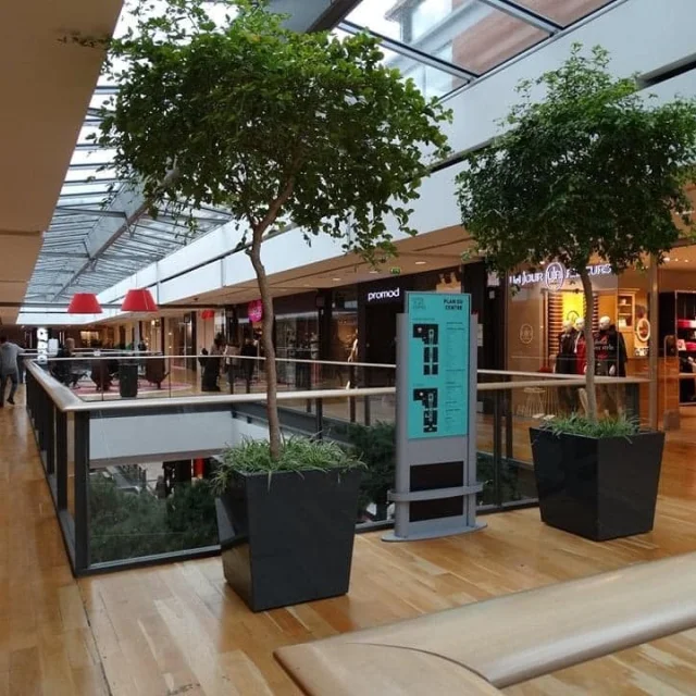 Centre Place Armes Valenciennes