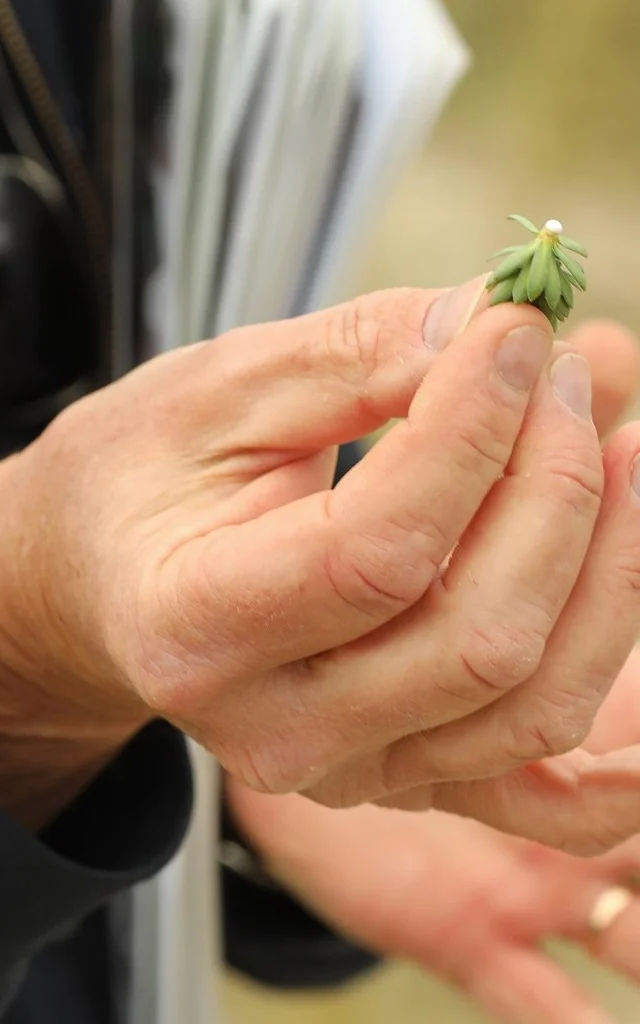 Rendez Vous Nature Dans Le Nord