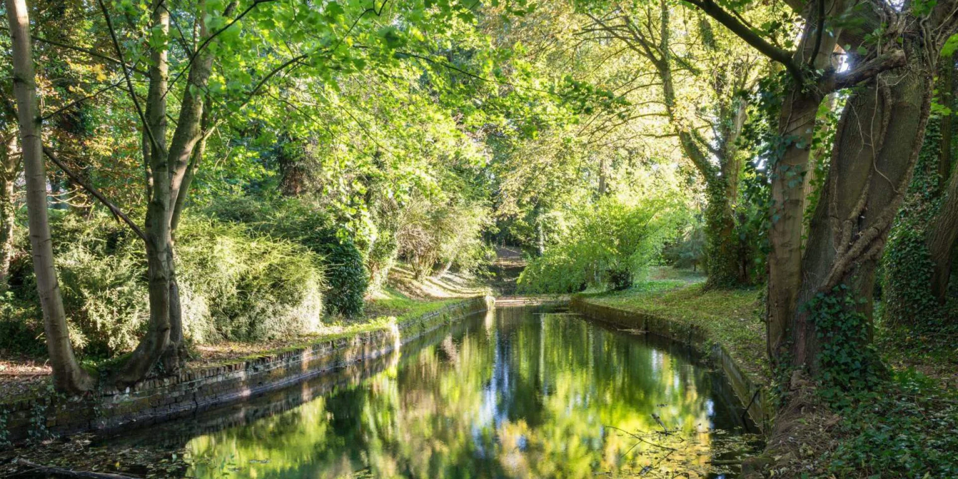 Cohen Gentilhommière